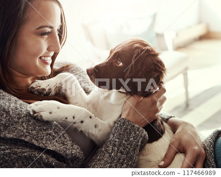 Smile, woman and dog with love at house, adoption and bonding for care by support of animal relax on sofa. Happy, pet owner and puppy friends for wellness, hug or loyalty together at family home 117466989