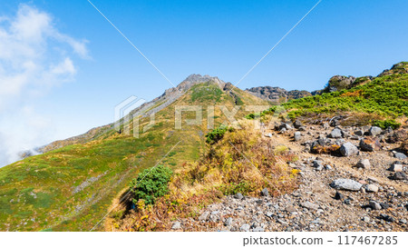 Climbing Mt. Chokai in autumn: View of the summit (Shinzan) from the outer rim course Climbing Mt. Chokai in autumn: View of the summit (Shinzan) from the outer rim course 117467285