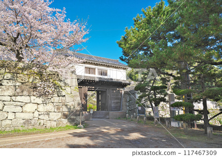 [Wakayama Castle (Okaguchi Gomon)] Wakayama City, Wakayama Prefecture 117467309