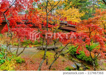 Yahiko Park Momiji Valley in Niigata, dyed in autumn leaves 117467368