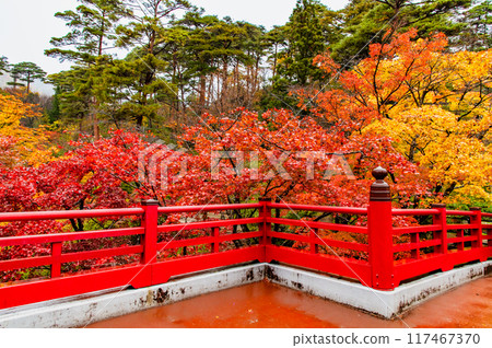 Yahiko Park Momiji Valley in Niigata, dyed in autumn leaves Yahiko Park Momiji Valley in Niigata, dyed in autumn leaves 117467370