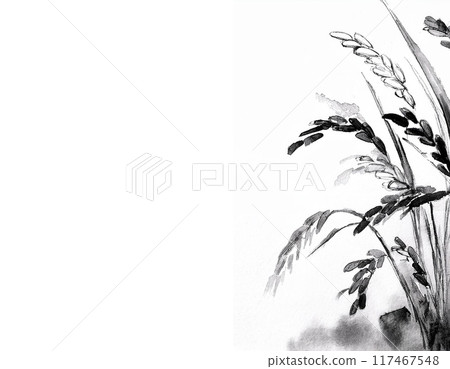 Rice - Watercolor illustration of rice - AI generated image 117467548