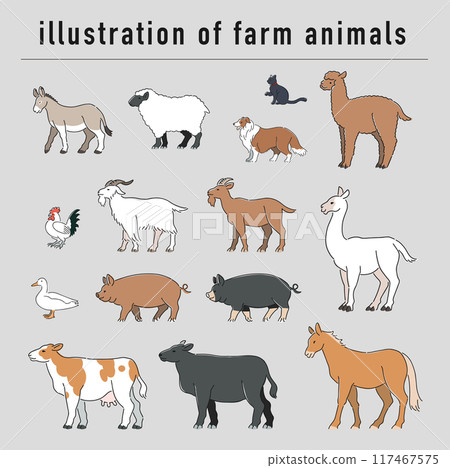 Farm animals hand drawn illustration set Farm animals hand drawn illustration set 117467575