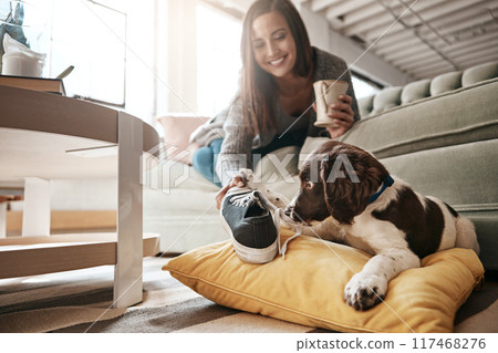 Lounge, playing and woman with dog, house and smile for bonding of animal, love and care in morning. Home, girl and shoe for pet, relax and peace in living room of apartment, calm and together Lounge, playing and woman with dog, house and smile for bonding of animal, love and care in morning. Home, girl and shoe for pet, relax and peace in living room of apartment, calm and together 117468276