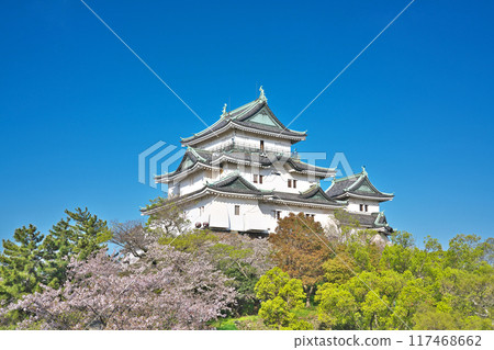 [和歌山城] 和歌山縣和歌山市 117468662