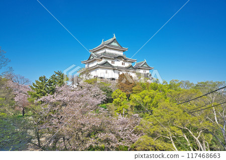 [和歌山城] 和歌山縣和歌山市 117468663