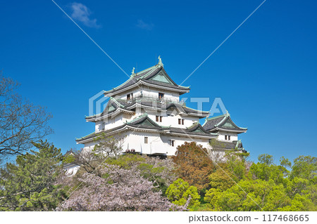 [和歌山城] 和歌山縣和歌山市 117468665