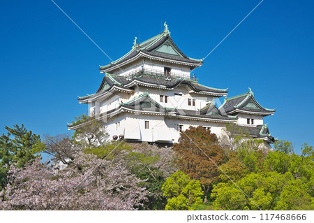 [和歌山城] 和歌山縣和歌山市 117468666