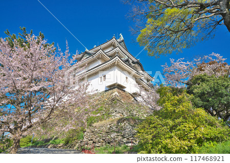 [Wakayama Castle] Wakayama City, Wakayama Prefecture 117468921