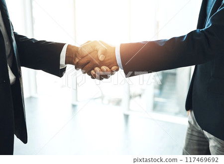 Handshake, b2b partnership and deal with business people in office for meeting, contract and opportunity. Agreement, job promotion and teamwork with employee shaking hands for welcome, hello and goal 117469692