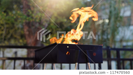 Barbecue, flame and grill in backyard for party, holiday or weekend lunch with fire or heat at home or patio. Outdoor bbq for meat, steak or summer cookout with tradition for USA independence day Barbecue, flame and grill in backyard for party, holiday or weekend lunch with fire or heat at home or patio. Outdoor bbq for meat, steak or summer cookout with tradition for USA independence day 117470560