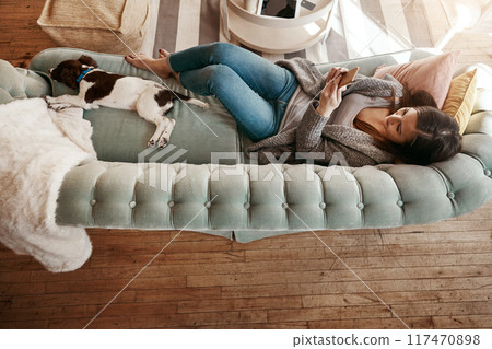 Cellphone, couch and woman with dog, rest and comfortable in lounge, texting and break in weekend and house. Home, girl and animal on sofa, relax or mobile for chat online, pet and person in top view Cellphone, couch and woman with dog, rest and comfortable in lounge, texting and break in weekend and house. Home, girl and animal on sofa, relax or mobile for chat online, pet and person in top view 117470898