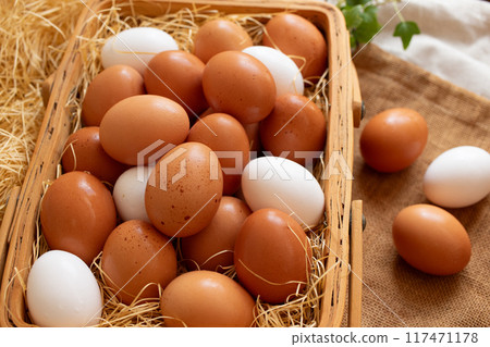 大量生雞蛋 (2) 117471178