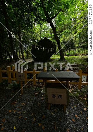 Fresh green Izumo Daijingu Fresh green Izumo Daijingu 117471186