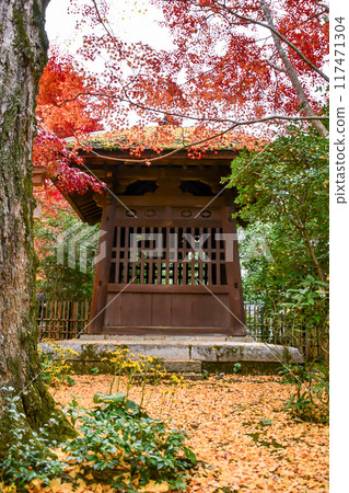 Autumn Kyoto Rengeji Temple Autumn Kyoto Rengeji Temple 117471304