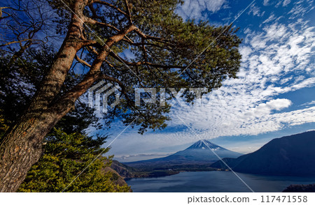 Mt. Fuji and Lake Motosu as seen from Nakanokura Observatory in winter Mt. Fuji and Lake Motosu as seen from Nakanokura Observatory in winter 117471558