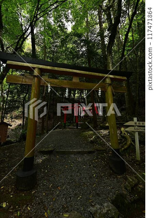 Fresh green Izumo Daijingu Fresh green Izumo Daijingu 117471864