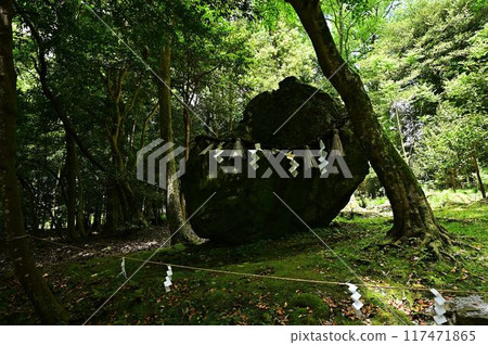 Fresh green Izumo Daijingu Fresh green Izumo Daijingu 117471865
