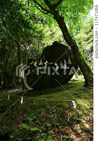 Fresh green Izumo Daijingu Fresh green Izumo Daijingu 117471866