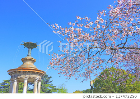 愛知縣名古屋市鶴舞公園噴泉塔和櫻花風景 117472250