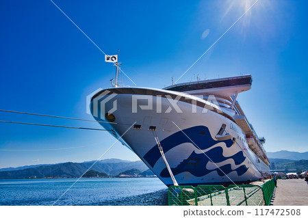 鑽石公主號停靠敦賀港 117472508