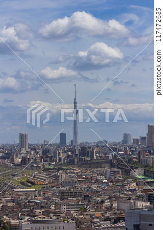 Sky Tree and the streets of Tokyo 117472685