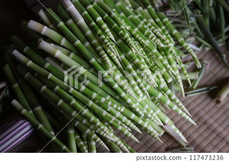 Peeled bamboo Peeled bamboo 117473236