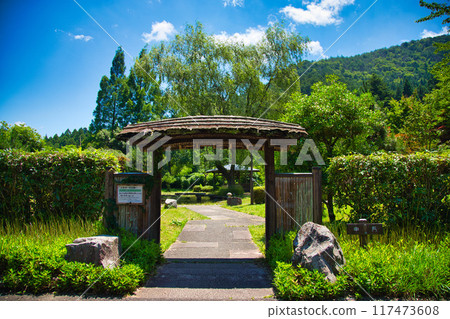 若狹烏瓦里明水公園的夏天 若狹烏瓦里明水公園的夏天 117473608