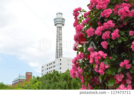 橫濱·山下公園 橫濱·山下公園 117473711