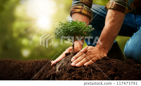Closeup of Hands Planting a Small Tree with Roots in the Ground - Generative Ai 117473791