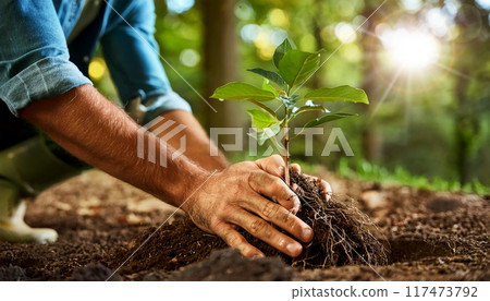 Closeup of Hands Planting a Small Tree with Roots in the Ground - Generative Ai 117473792