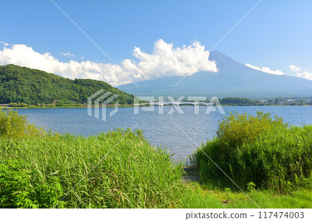 Mt. Fuji Kawaguchiko Mt. Fuji Kawaguchiko 117474003