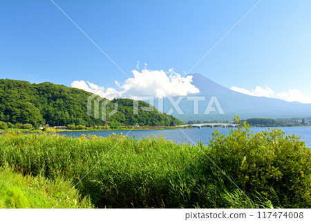 Mt. Fuji Kawaguchiko Mt. Fuji Kawaguchiko 117474008