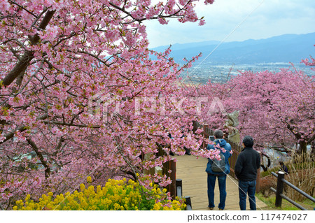 Kanagawa Nishihirahata Park Kanagawa Nishihirahata Park 117474027