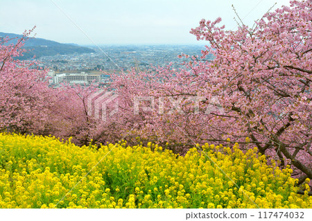 Kanagawa Nishihirahata Park 117474032
