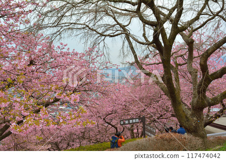 Kanagawa Nishihirahata Park Kanagawa Nishihirahata Park 117474042