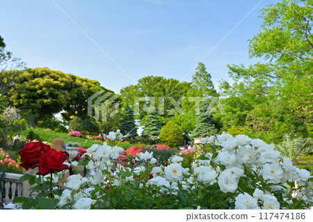 Hill Park where Yokohama · Harbor can be seen Hill Park where Yokohama · Harbor can be seen 117474186