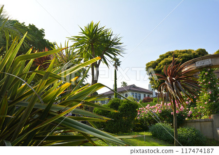 Hill Park where Yokohama · Harbor can be seen 117474187