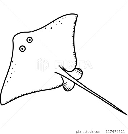 Stingray Stingray 117474321