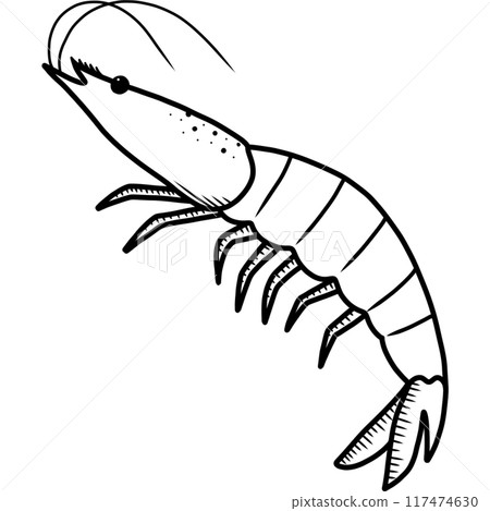 Shrimp Shrimp 117474630