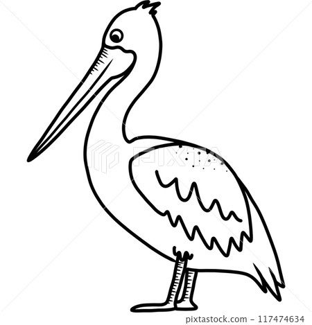 Pelican 117474634