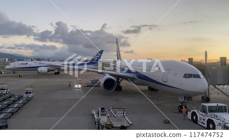 ANA plane parked at the apron 117474752