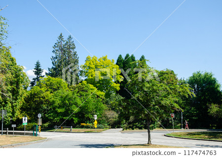 Stanley park, Vancouver, BC, Canada Stanley park, Vancouver, BC, Canada 117474763