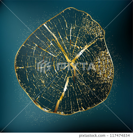 Wood cross section background. Tree growth rings. 117474834