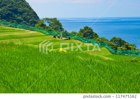 與梯田的風景 與梯田的風景 117475162