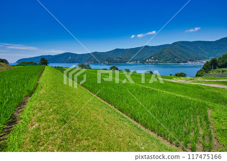 與梯田的風景 與梯田的風景 117475166