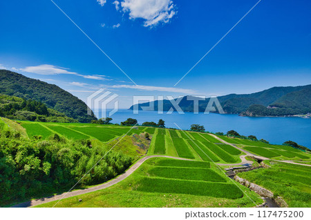 與梯田的風景 117475200