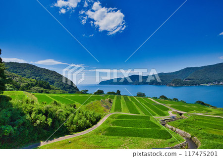與梯田的風景 117475201