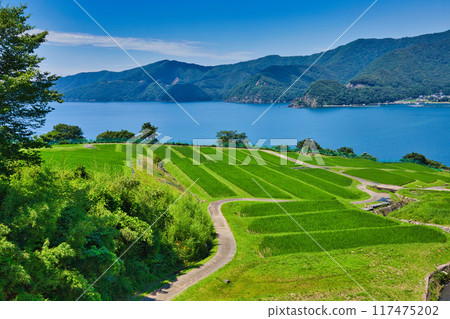 與梯田的風景 117475202