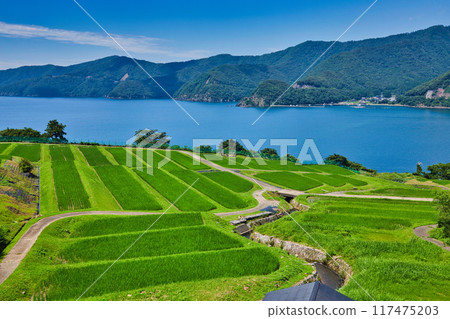 與梯田的風景 117475203